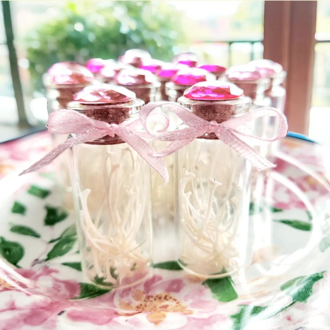 Creepy Cute Vial of Bones, Coquette Gifts, Oddities & Curiosities