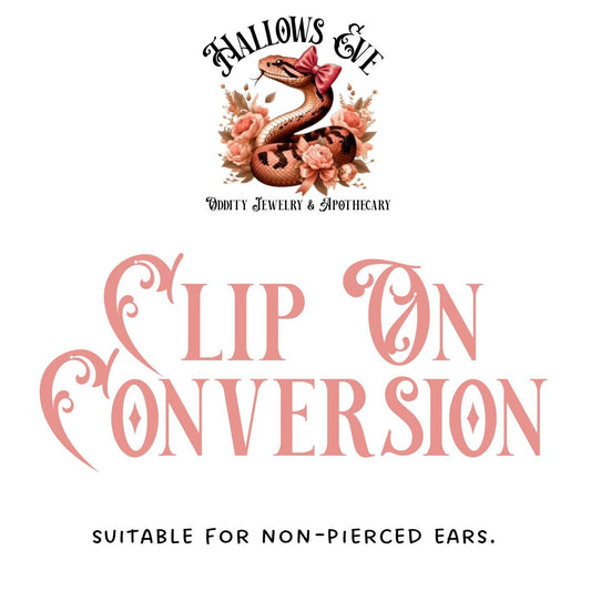 CLIPON CONVERSION