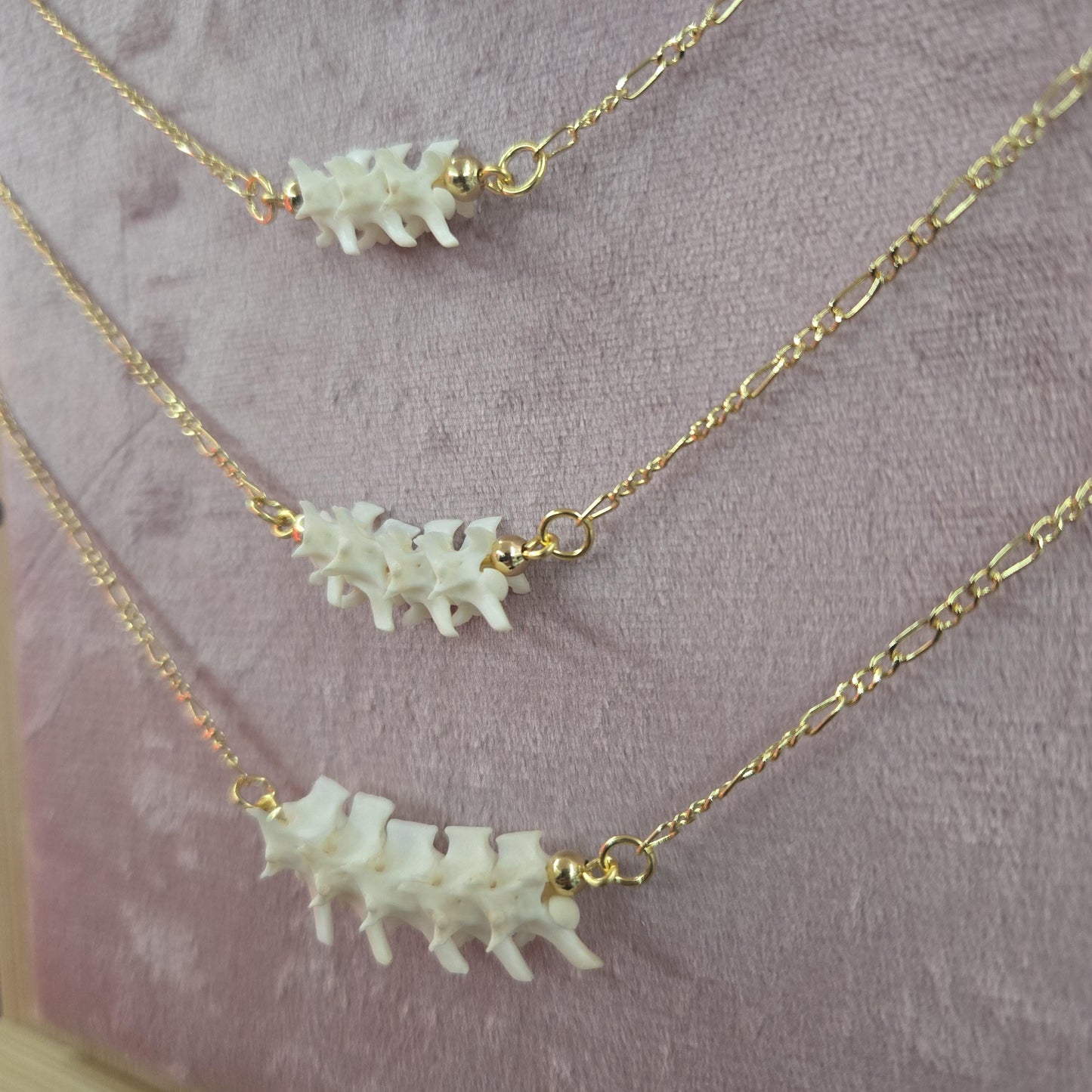 Minimalistic Rattlesnake Vertebrae Necklace | Unique Gold Plated Necklace Oddities and Curiosities Oddity Jewelry